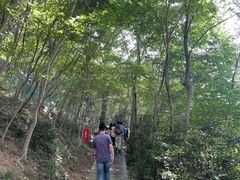 -上海佘山国家森林公园西佘山园