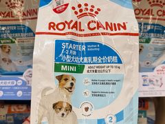 -帕帕拉兹宠物(亚洲旗舰店)