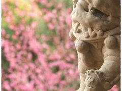 -成都杜甫草堂博物馆