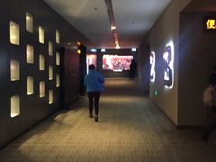 -汉阳天河电影城(王家湾店)