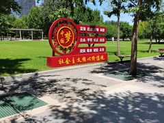 -大望京公园
