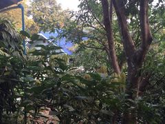 -清迈丛林飞跃 JungleFlight