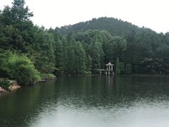 -四明山国家森林公园