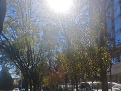 -阿里西北美食(小黄庄店)