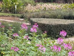 -广西壮族自治区药用植物园