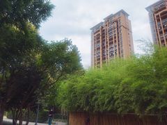 -陈家山荷花公园