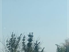 -崇阳三特浪口温泉