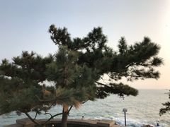 -青岛第二海水浴场