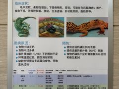 -北京观赏动物医院·24小时大型综合·猫专科·异宠专科