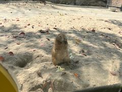 -苏州太湖西山岛开心农场