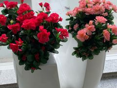 -乌鲁木齐天山国际机场-T3航站楼