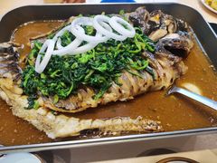 -鱼酷活鱼烤鱼(沈阳大悦城店)