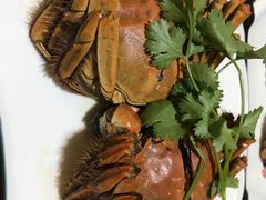 -呼吸森林·生态农庄农家乐私房菜