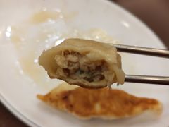 -高雄杨宝宝锅贴