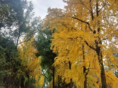 -白鹭湾湿地公园