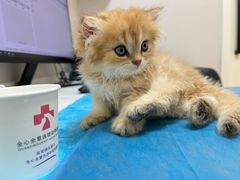 -全心全意动物诊疗中心医院(北苑店)