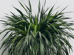 -新东方斯芬克艺术留学作品集培训(郑州校区)