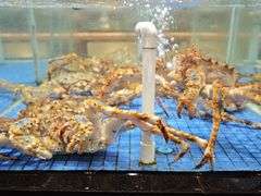 -闽南厝·闽南菜(福隆店)