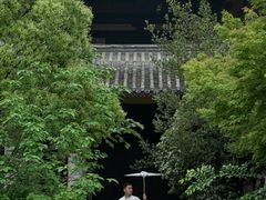 -鲁镇
