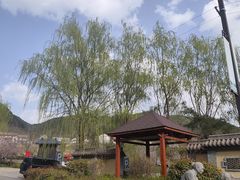 -王顺山国家森林公园
