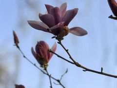 -大兴滨河森林公园