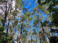 -水濂山森林公园