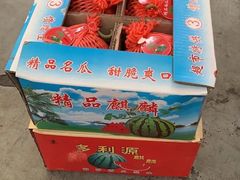 -西郊国际农产品交易中心