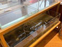 -十八字金银饰·拼豆·开蚌手工体验团建(君太百货店)