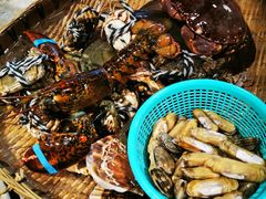 -日进一片海.生腌海鲜火锅.宵夜烧烤(三里屯总店)