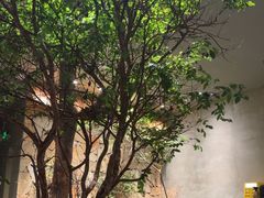 -森SPA·泰式按摩·精油Massage(宝安中心店)