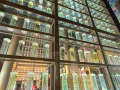 -珠海圆明新园