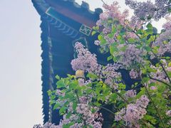 -西安市广仁寺