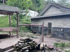 -碧峰峡风景区