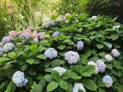 -木守西溪溪隐餐厅