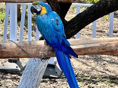 -哈尔滨北方森林动物园