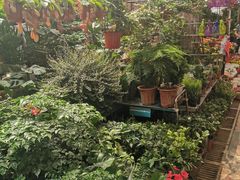 -秦美花卉(天朗·莱茵小城2期店)