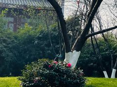 -堤角公园