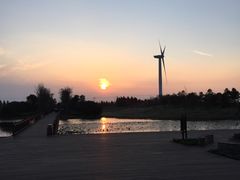 -上海崇明金茂凯悦酒店