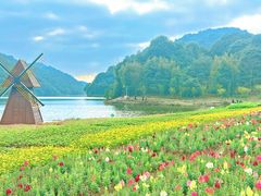 -广州市石门国家森林公园