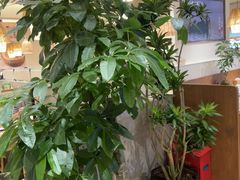 -周家二小姐的菜·扬州菜·香炒蟹·狮子头(江都金鹰店)