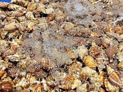 -三亚火车头万人海鲜广场