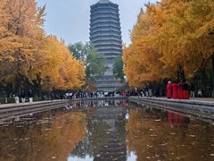 -玲珑塔公园