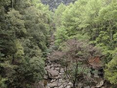 -花岩国家森林公园