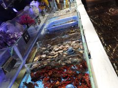 -加餐海鲜自助(宝龙一城店)
