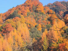 -光雾山旅游景区