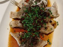 -南麓·浙里(外滩店)