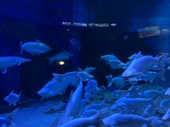 -成都浩海立方海洋公园