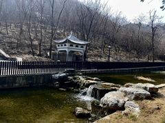 -白水寺森林公园