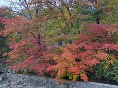 -天女山森林公园