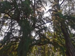 -北海市海滨公园